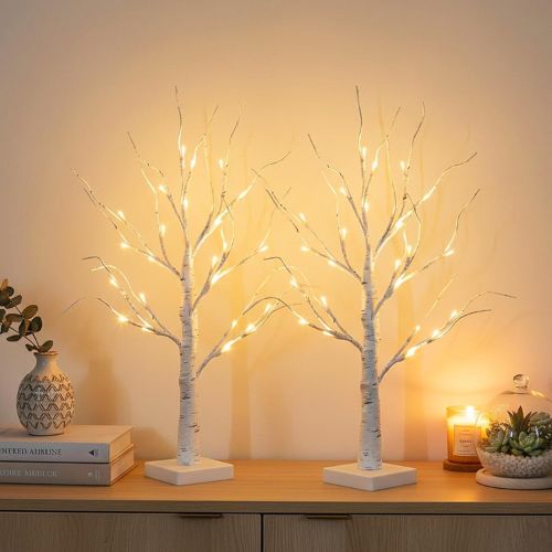 PEIDUO Christmas Decorations  2FT Birch Tree with LED Lights