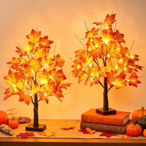 EAMBRITE Fall Decorations for Home