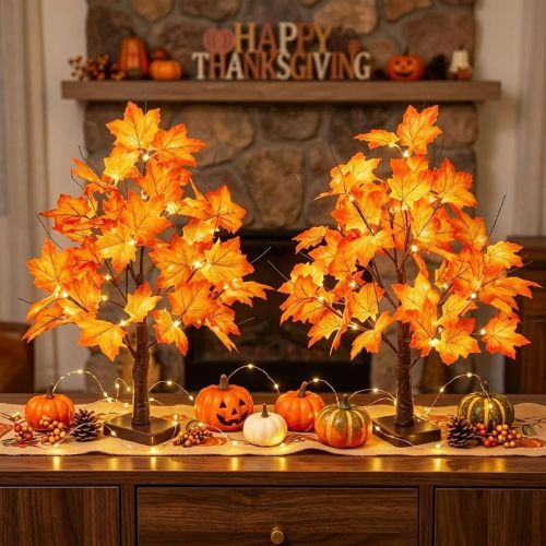 EAMBRITE Fall Decorations for Home