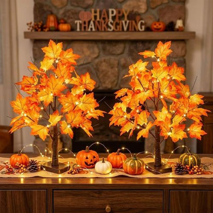 EAMBRITE Fall Decorations for Home