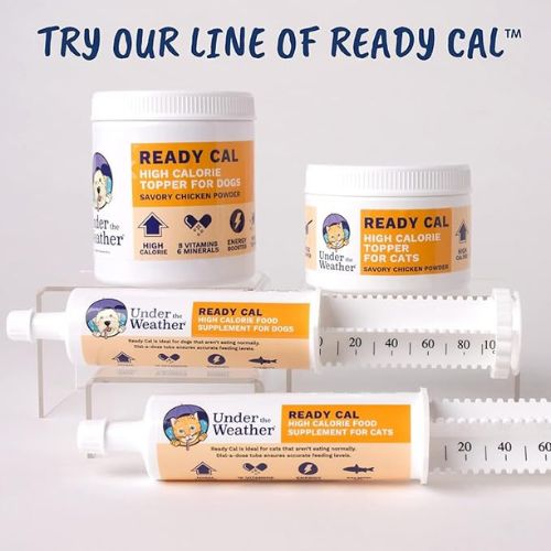 Ready Cal Powder for Cats – High-Calorie Appetite Booster, Chicken Flavor