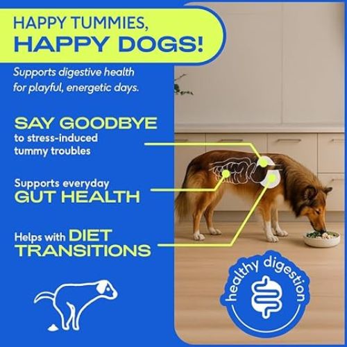 Native Pet Probiotics Powder – 120 Scoops, Digestive & Immune Support for Dogs