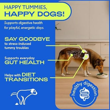 Native Pet Probiotics Powder – 120 Scoops, Digestive & Immune Support for Dogs