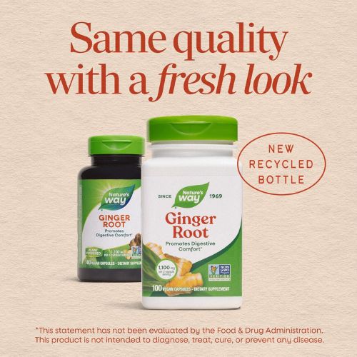 Nature's Way Ginger Root Capsules,1,100 mg per Serving, Vegan, 240 ct