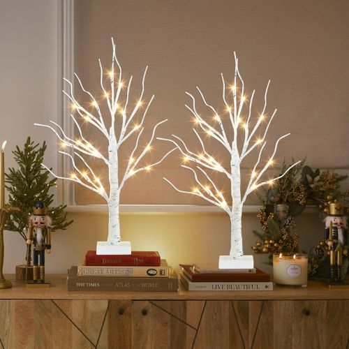PEIDUO Christmas Decorations  2FT Birch Tree with LED Lights