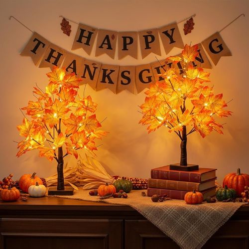EAMBRITE Fall Decorations for Home