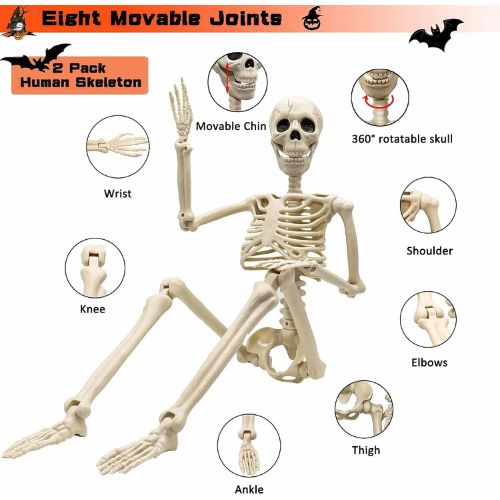 2 Pack 36"Halloween Skeleton