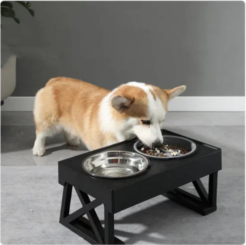 Elevated Slow-Feed Dog Bowl