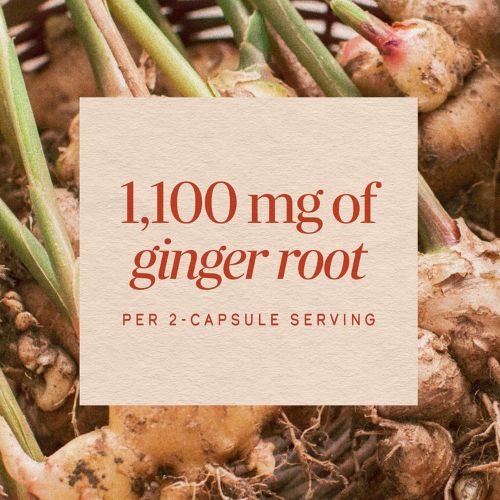 Nature's Way Ginger Root Capsules,1,100 mg per Serving, Vegan, 240 ct