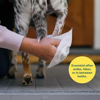Earth Rated Pet Wipes – 100ct, Hypoallergenic & Unscented Grooming Wipes