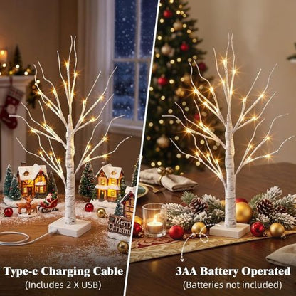 PEIDUO Christmas Decorations  2FT Birch Tree with LED Lights
