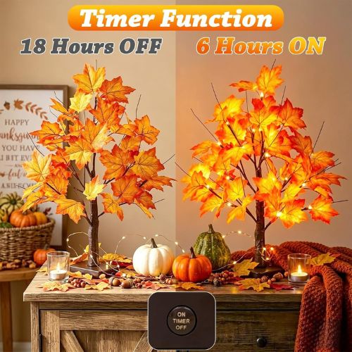EAMBRITE Fall Decorations for Home