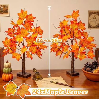 EAMBRITE Fall Decorations for Home